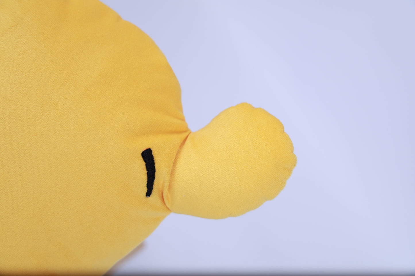 Winnie the pooh cushion