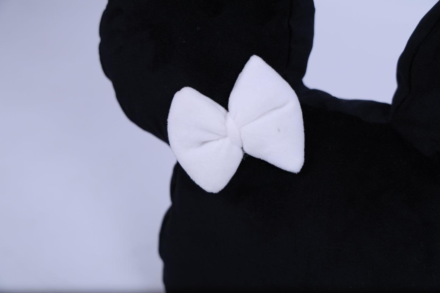 Mickey and Minnie cushion