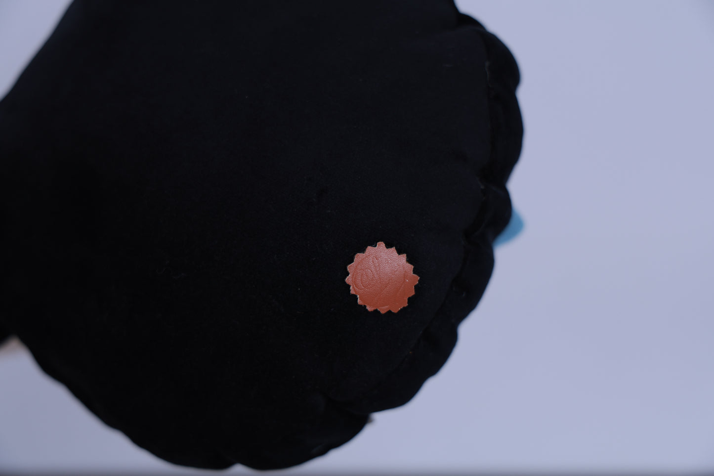 Mickey and Minnie cushion